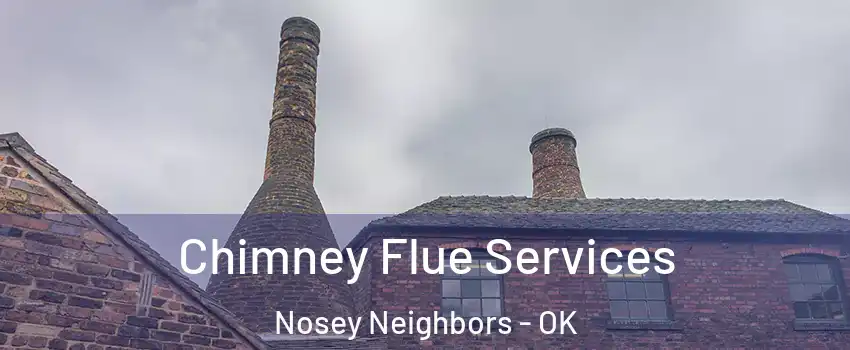 Chimney Flue Services Nosey Neighbors - OK