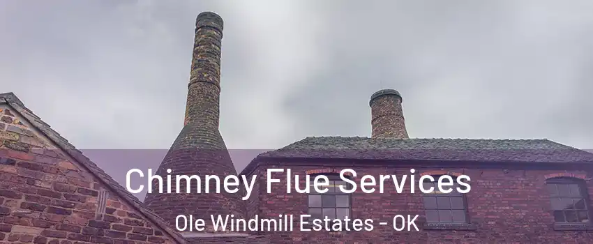 Chimney Flue Services Ole Windmill Estates - OK