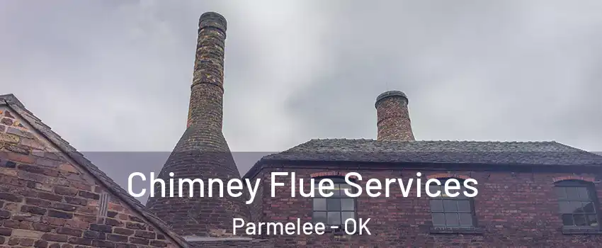 Chimney Flue Services Parmelee - OK