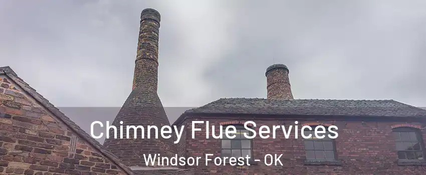 Chimney Flue Services Windsor Forest - OK