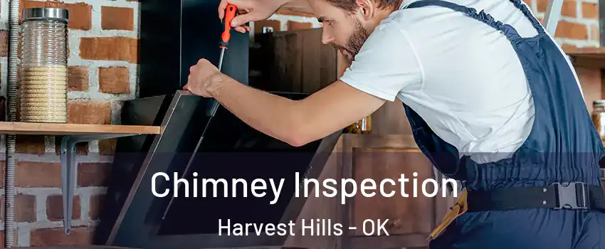 Chimney Inspection Harvest Hills - OK