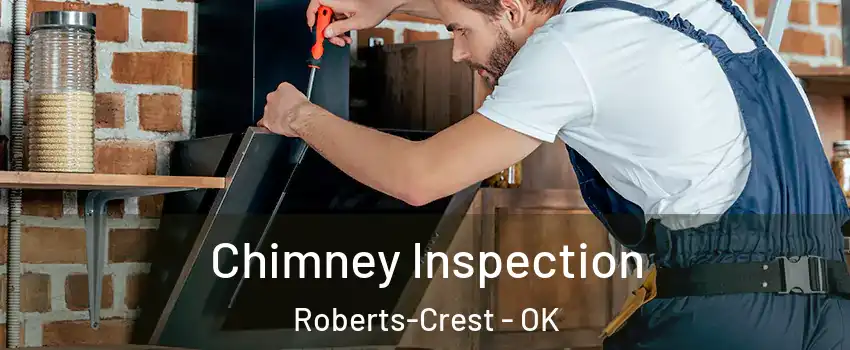 Chimney Inspection Roberts-Crest - OK