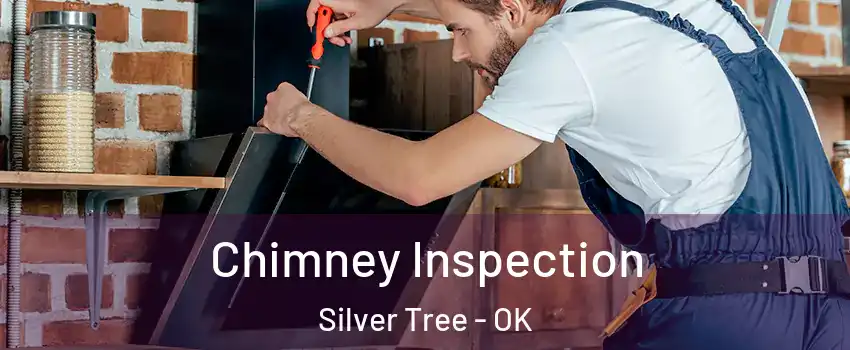 Chimney Inspection Silver Tree - OK