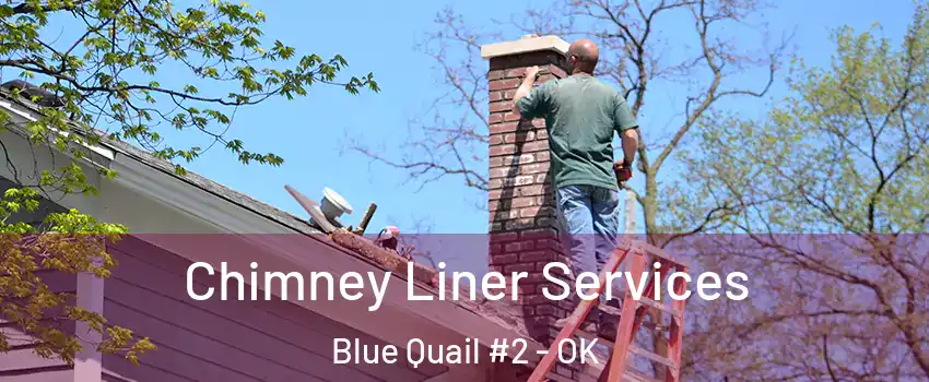 Chimney Liner Services Blue Quail #2 - OK