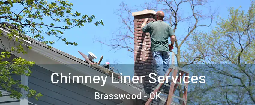 Chimney Liner Services Brasswood - OK