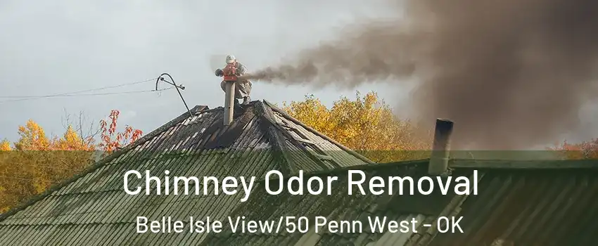 Chimney Odor Removal Belle Isle View/50 Penn West - OK