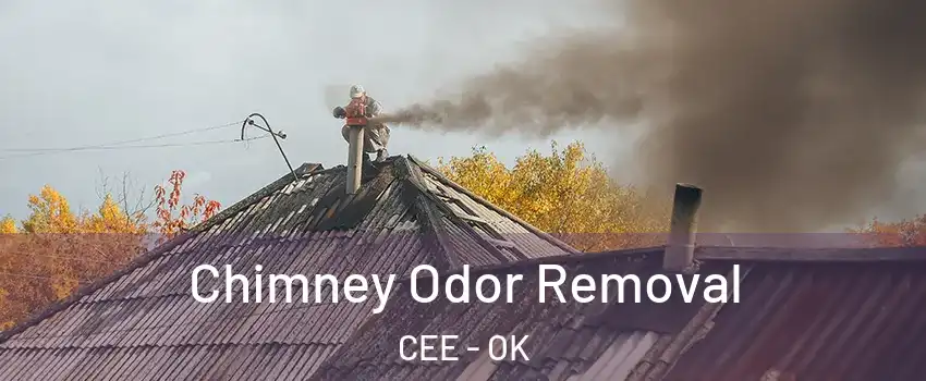 Chimney Odor Removal CEE - OK