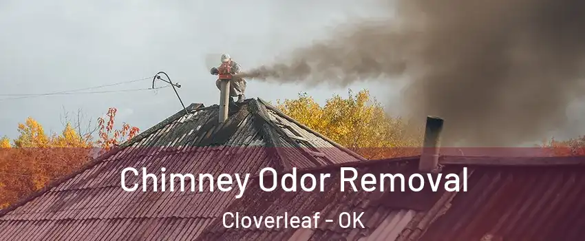 Chimney Odor Removal Cloverleaf - OK