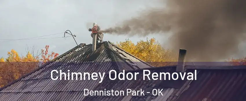 Chimney Odor Removal Denniston Park - OK