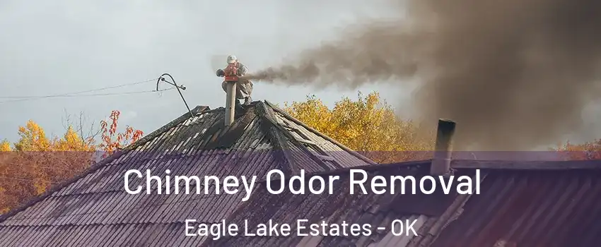 Chimney Odor Removal Eagle Lake Estates - OK