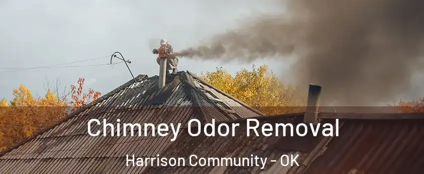 Chimney Odor Removal Harrison Community - OK