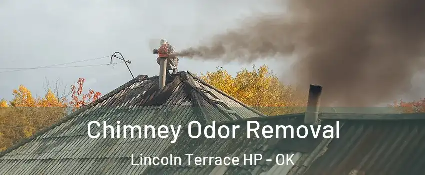 Chimney Odor Removal Lincoln Terrace HP - OK