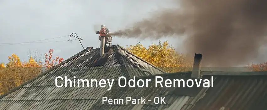 Chimney Odor Removal Penn Park - OK