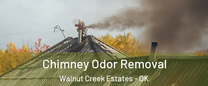 Chimney Odor Removal Walnut Creek Estates - OK