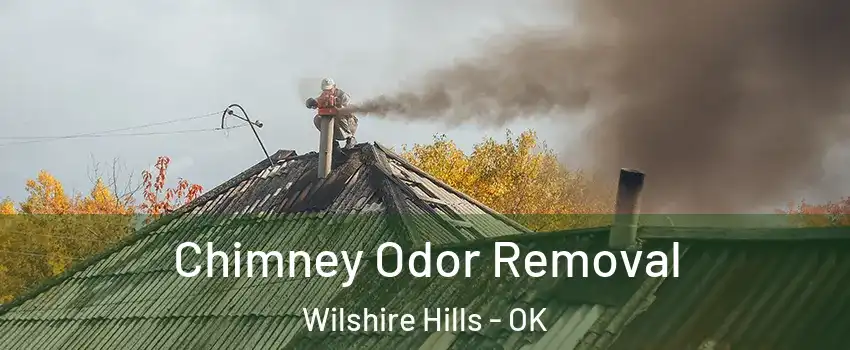 Chimney Odor Removal Wilshire Hills - OK