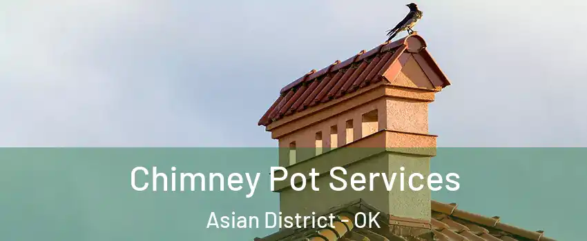 Chimney Pot Services Asian District - OK