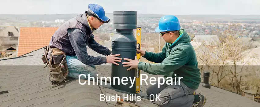 Chimney Repair Bush Hills - OK