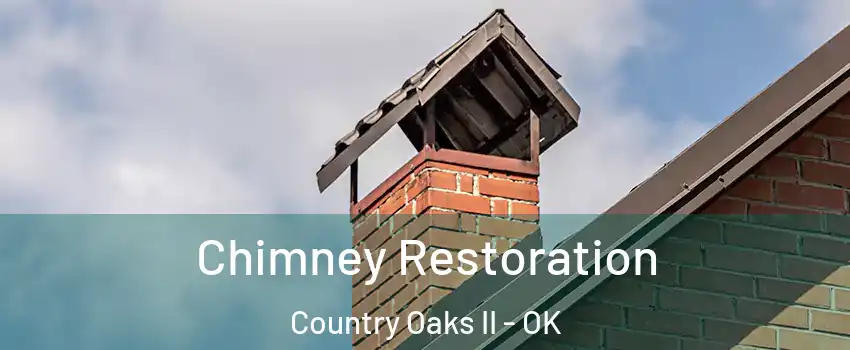 Chimney Restoration Country Oaks II - OK