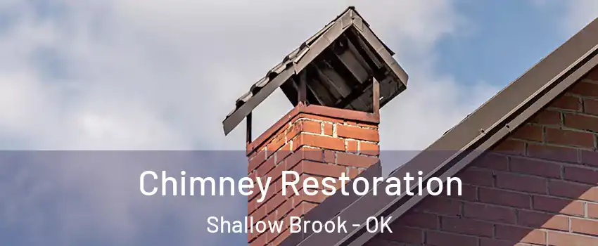 Chimney Restoration Shallow Brook - OK