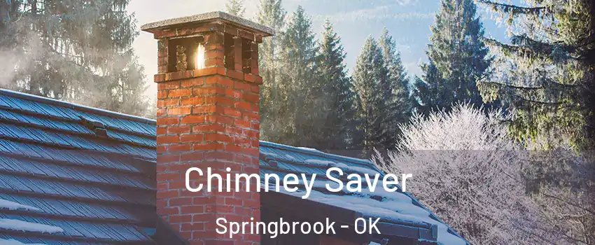 Chimney Saver Springbrook - OK