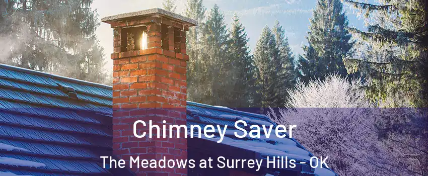 Chimney Saver The Meadows at Surrey Hills - OK