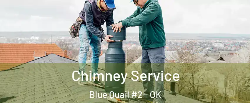 Chimney Service Blue Quail #2 - OK