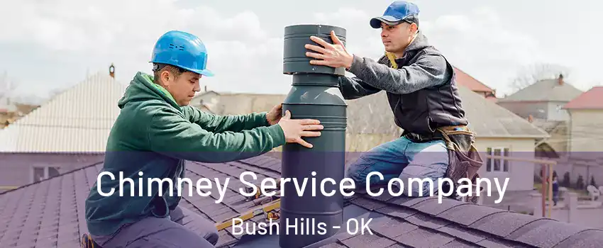 Chimney Service Company Bush Hills - OK