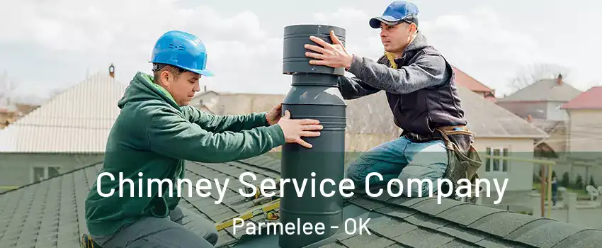 Chimney Service Company Parmelee - OK