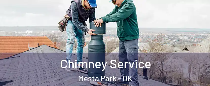 Chimney Service Mesta Park - OK