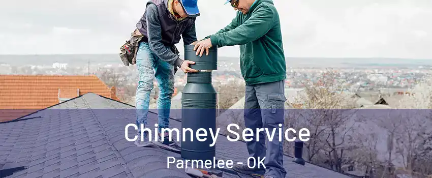 Chimney Service Parmelee - OK