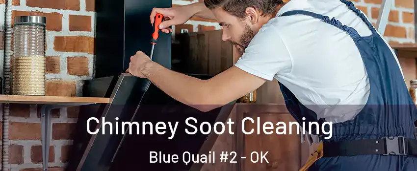 Chimney Soot Cleaning Blue Quail #2 - OK