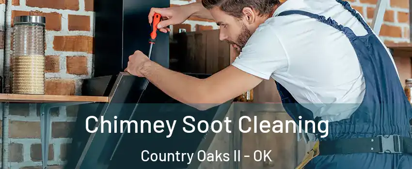 Chimney Soot Cleaning Country Oaks II - OK