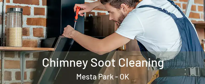 Chimney Soot Cleaning Mesta Park - OK