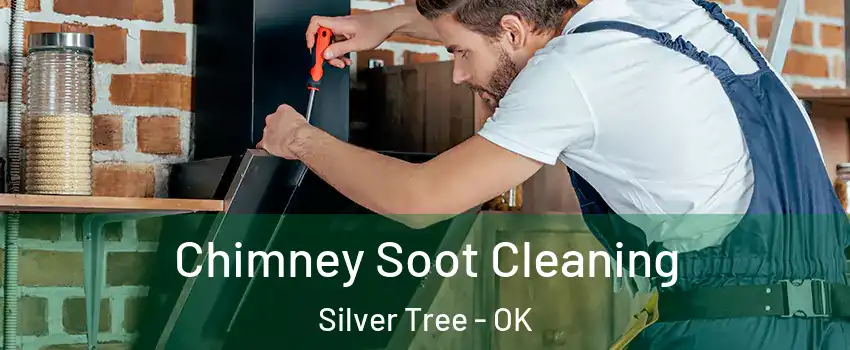 Chimney Soot Cleaning Silver Tree - OK