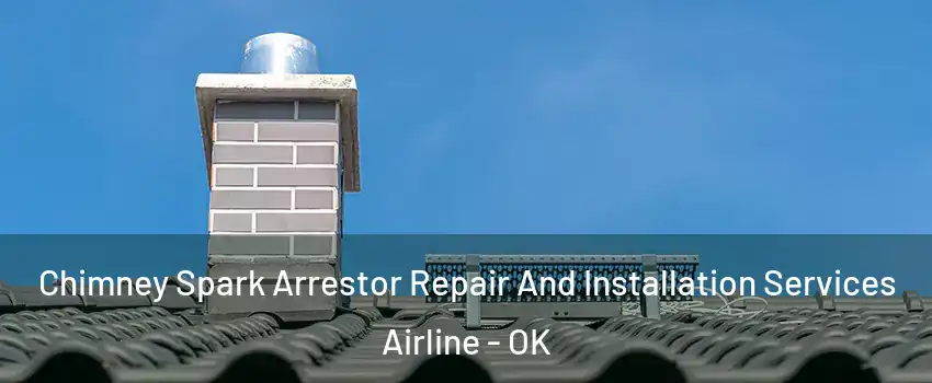 Chimney Spark Arrestor Repair And Installation Services Airline - OK