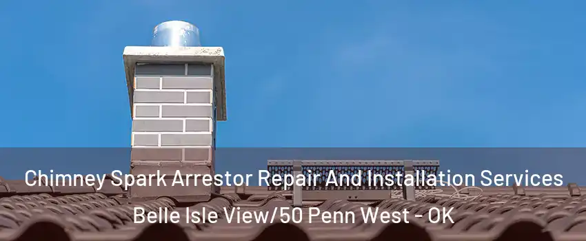 Chimney Spark Arrestor Repair And Installation Services Belle Isle View/50 Penn West - OK