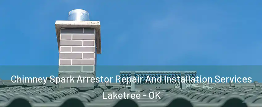 Chimney Spark Arrestor Repair And Installation Services Laketree - OK