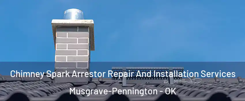 Chimney Spark Arrestor Repair And Installation Services Musgrave-Pennington - OK