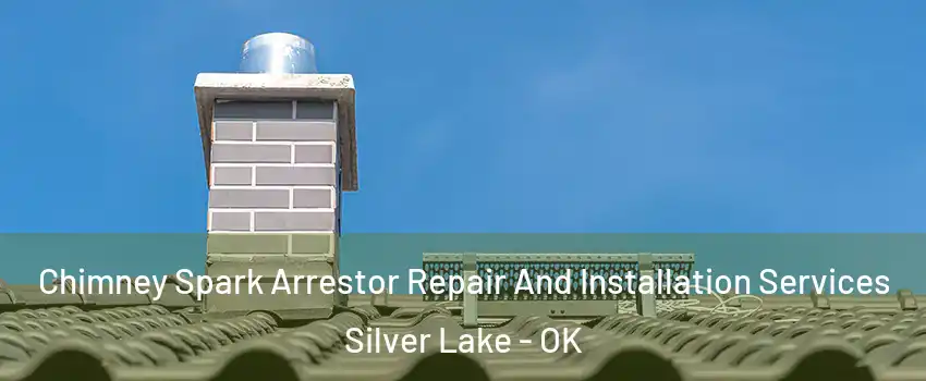 Chimney Spark Arrestor Repair And Installation Services Silver Lake - OK