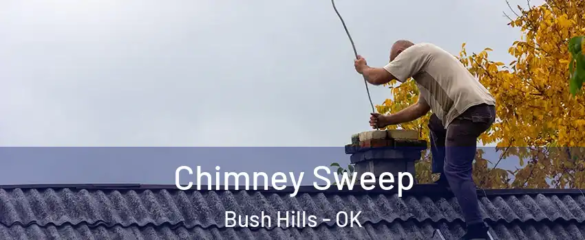 Chimney Sweep Bush Hills - OK