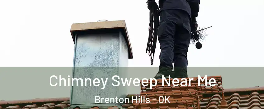 Chimney Sweep Near Me Brenton Hills - OK