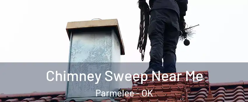 Chimney Sweep Near Me Parmelee - OK