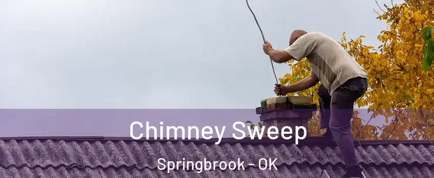 Chimney Sweep Springbrook - OK