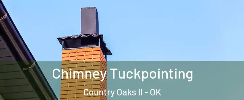 Chimney Tuckpointing Country Oaks II - OK