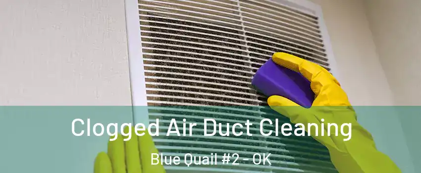 Clogged Air Duct Cleaning Blue Quail #2 - OK