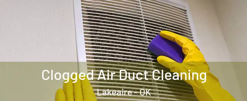 Clogged Air Duct Cleaning Lakeaire - OK