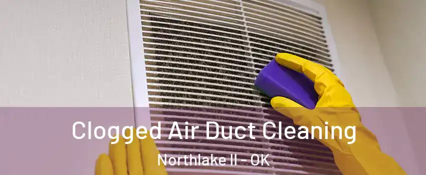 Clogged Air Duct Cleaning Northlake II - OK