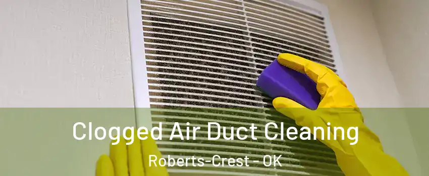 Clogged Air Duct Cleaning Roberts-Crest - OK