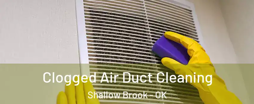 Clogged Air Duct Cleaning Shallow Brook - OK