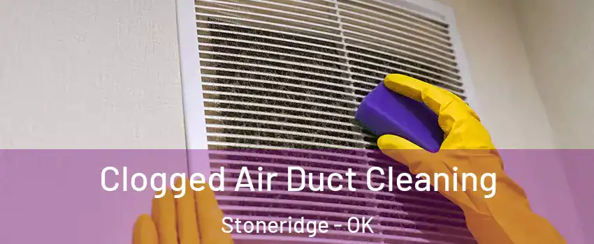 Clogged Air Duct Cleaning Stoneridge - OK